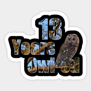 13 years owl-ed (13 years old) teen 13th birthday Sticker